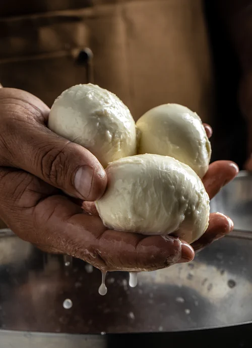 Chi siamo | Cocai.food